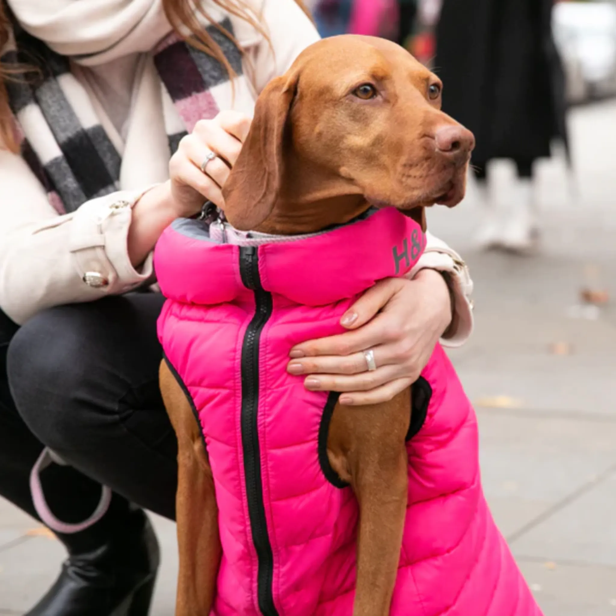 Hugo & Hudson Dog Puffer Jacket Reversible Pink & Grey